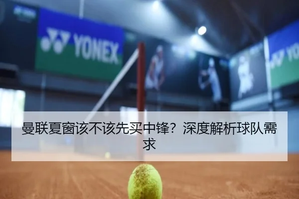 曼联夏窗该不该先买中锋？深度解析球队需求