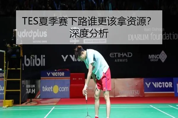 TES夏季赛下路谁更该拿资源？深度分析
